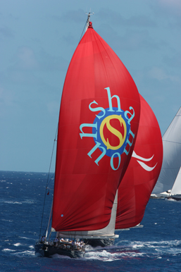 Shamoun with Spinnaker